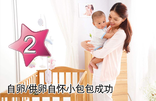 B套餐：自卵/供卵自怀小包包成功套餐
