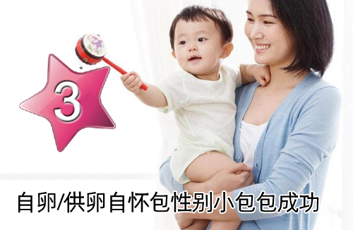 C套餐：自卵/供卵自怀包性别小包包成功方案