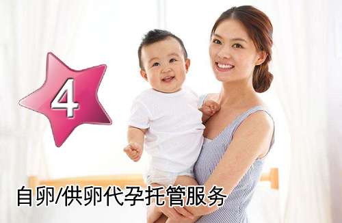 D套餐：自卵/供卵助孕托管服务方案