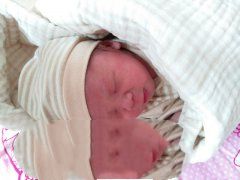 三年求子梦，在远播优育实现，恭喜陈女士