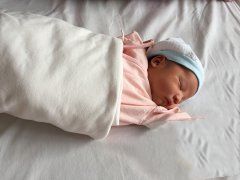 子宫受损代妈助孕 喜获健康男宝宝