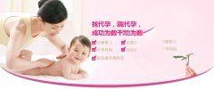 怀孕前三个月胎宝宝在做什么